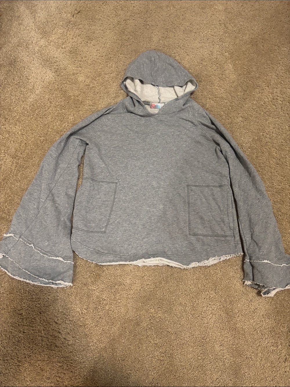 Free People Beach Gray Hooded Pullover Sweatshirt
